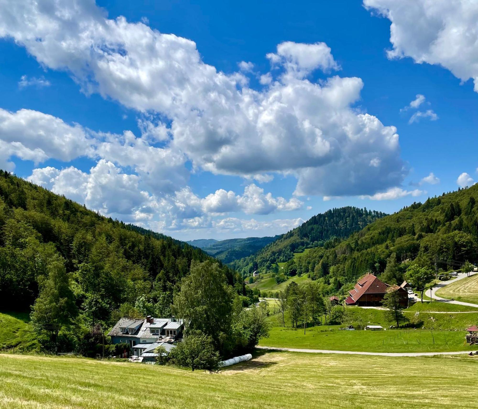 Appartamento Casa Alma Neuenweg Esterno foto